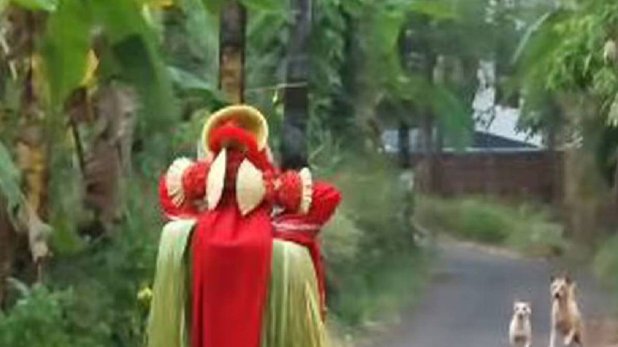 തെയ്യത്തിന് നേരെ കുരച്ചുചാടി തെരുവുനായ്ക്കൾ; അട്ടഹസിച്ച് ചിലമ്പ് കുലുക്കിയതോടെ തിരിഞ്ഞോടി നായ്ക്കൾ