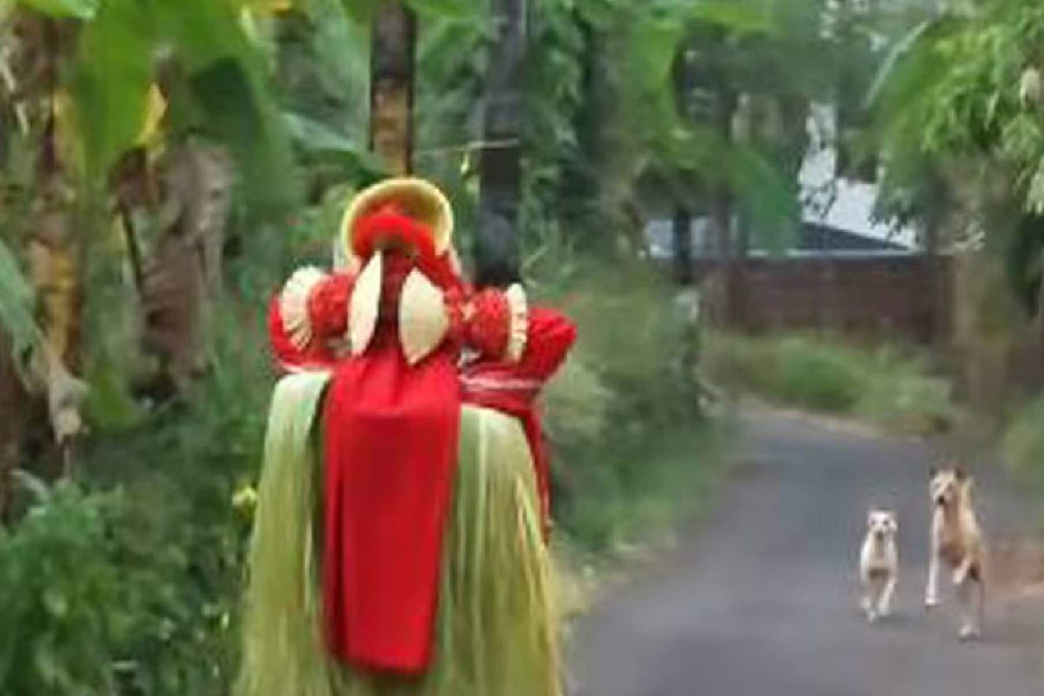 തെയ്യത്തിന് നേരെ കുരച്ചുചാടി തെരുവുനായ്ക്കൾ; അട്ടഹസിച്ച് ചിലമ്പ് കുലുക്കിയതോടെ തിരിഞ്ഞോടി നായ്ക്കൾ