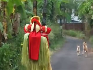 തെയ്യം കലാകാരന്റെ മുന്നിലെ തെരുവ് നായ്ക്കൾ 