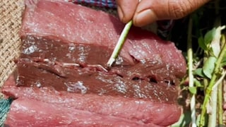 ചൂര മീനിൽ കണ്ട പുഴുക്കൾ