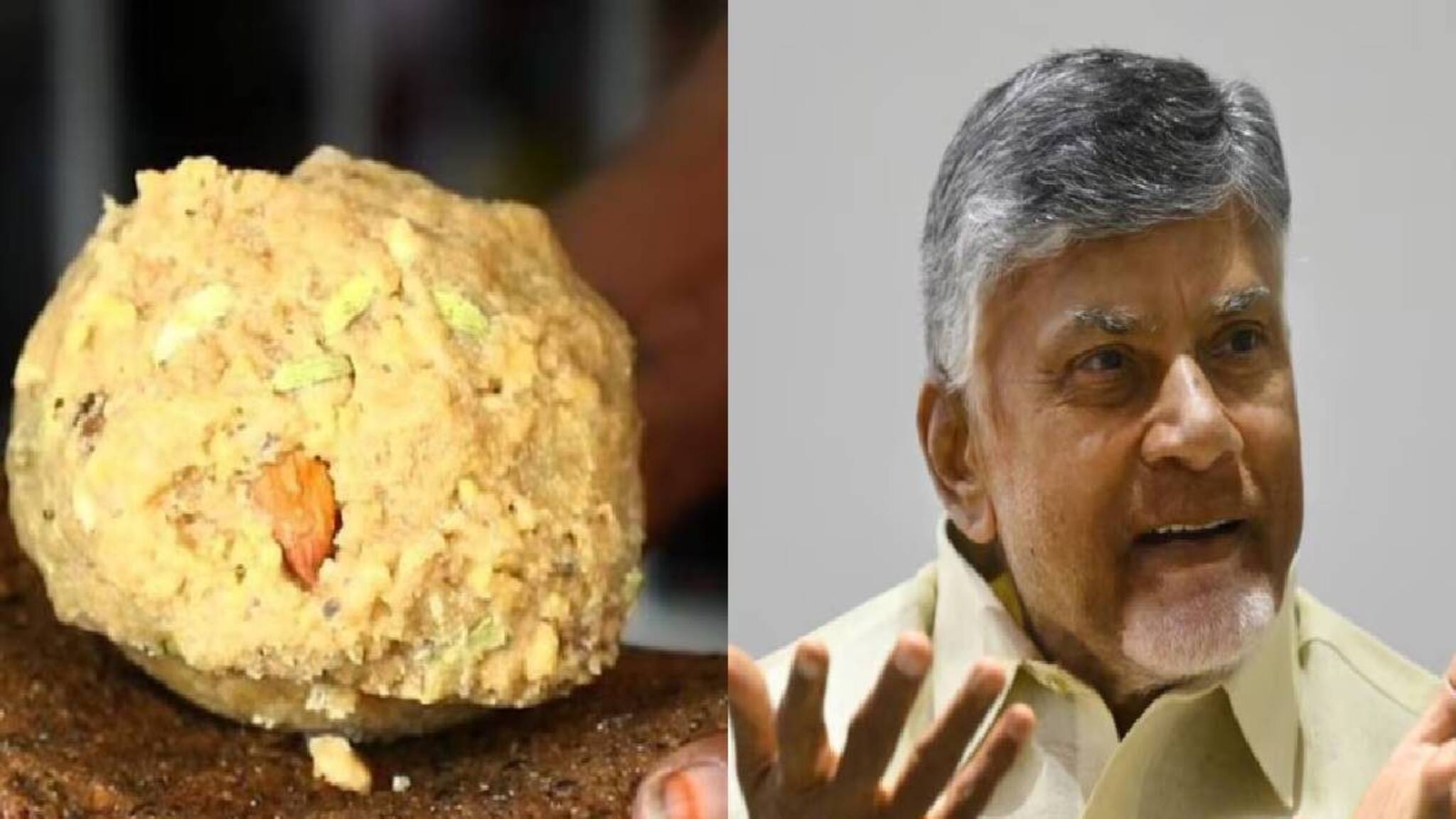 'ആസൂത്രിത ഗൂഢാലോചന': തിരുപ്പതി ലഡു വിവാദത്തിൽ ജഗൻ മോഹന് എതിരെ ചന്ദ്രബാബു നായിഡു