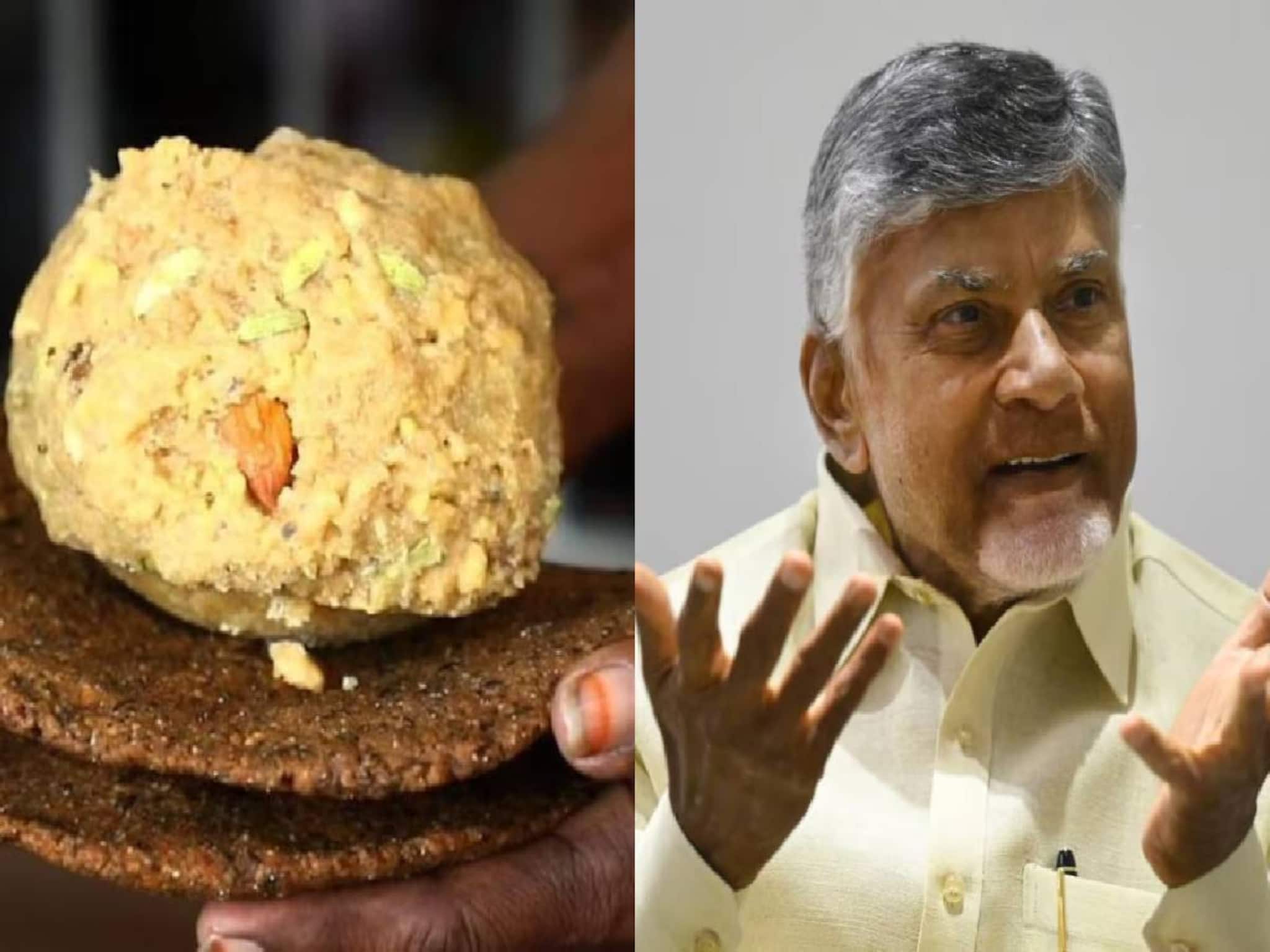 'ആസൂത്രിത ഗൂഢാലോചന': തിരുപ്പതി ലഡു വിവാദത്തിൽ ജഗൻ മോഹന് എതിരെ ചന്ദ്രബാബു നായിഡു