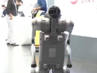 എ ഐ ഇംപാക്ട് ഉച്ചകോടിയിൽ ഗാൽഗോട്ടിയാസ് സർവകലാശാല പ്രദർശിപ്പിച്ച ചൈനീസ് നിർമിത റോബോട്ടിക് നായ (ചിത്രം- എക്സ്) എ ഐ ഇംപാക്ട് ഉച്ചകോടിയിൽ ഗാൽഗോട്ടിയാസ് സർവകലാശാല പ്രദർശിപ്പിച്ച ചൈനീസ് നിർമിത റോബോട്ടിക് നായ (ചിത്രം- എക്സ്)