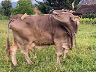 (പ്രതീകാത്മക ചിത്രം)