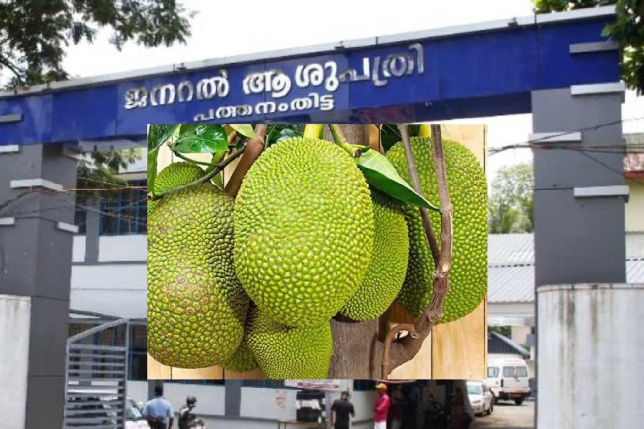 പത്തനംതിട്ട ജനറൽ ആശുപത്രിയിൽ മരുന്നുവാങ്ങാൻ വരിനിന്ന രോഗിയുടെ തലയിൽ ചക്ക വീണു പത്തനംതിട്ട ജനറൽ ആശുപത്രിയിൽ മരുന്നുവാങ്ങാൻ വരിനിന്ന രോഗിയുടെ തലയിൽ ചക്ക വീണു