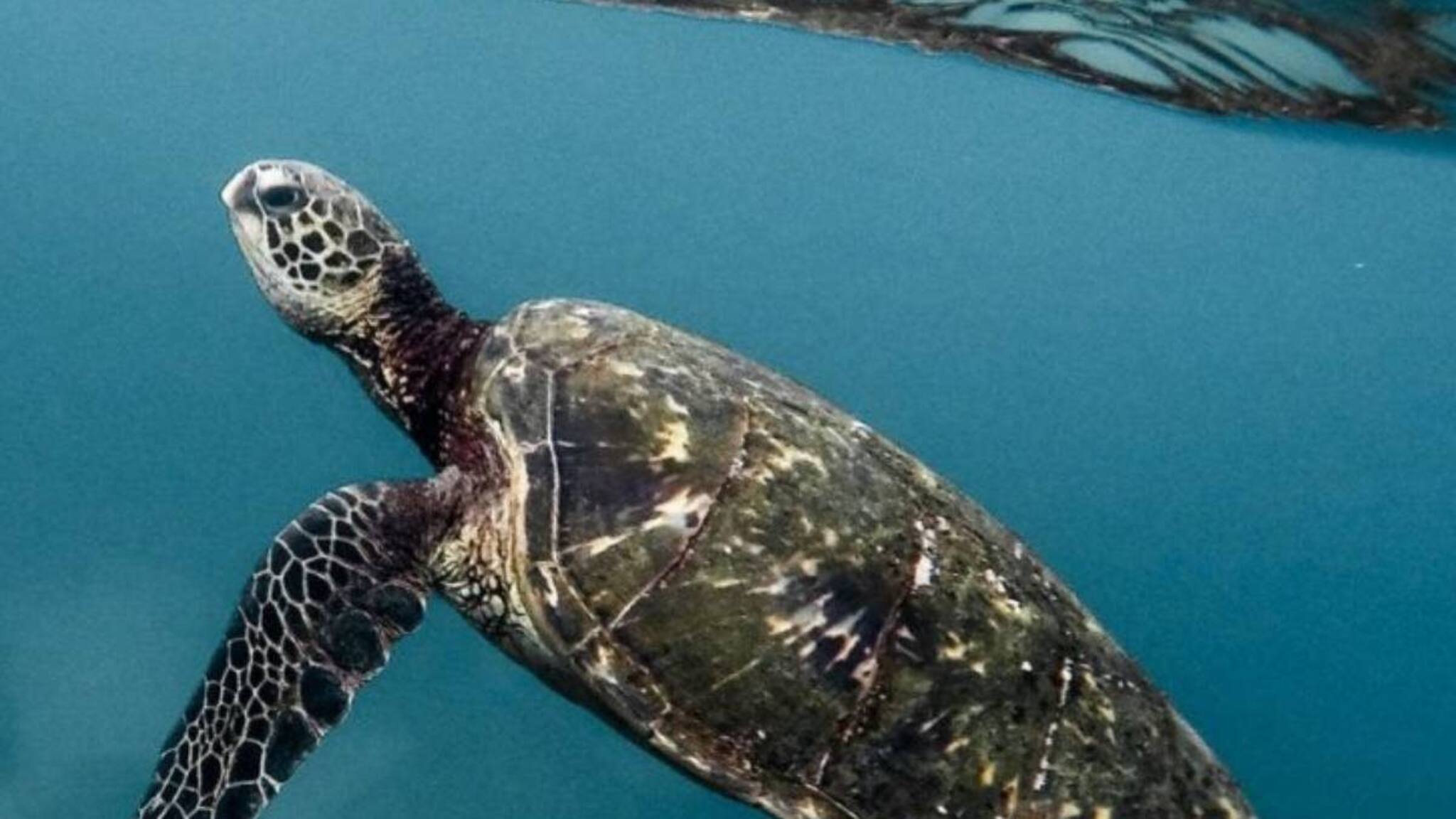 Budget 2026: അതിവേഗമില്ലാത്ത കേരളത്തിന് കടലാമ; സംസ്ഥാനത്തിന് കിട്ടിയത് എന്തൊക്കെ