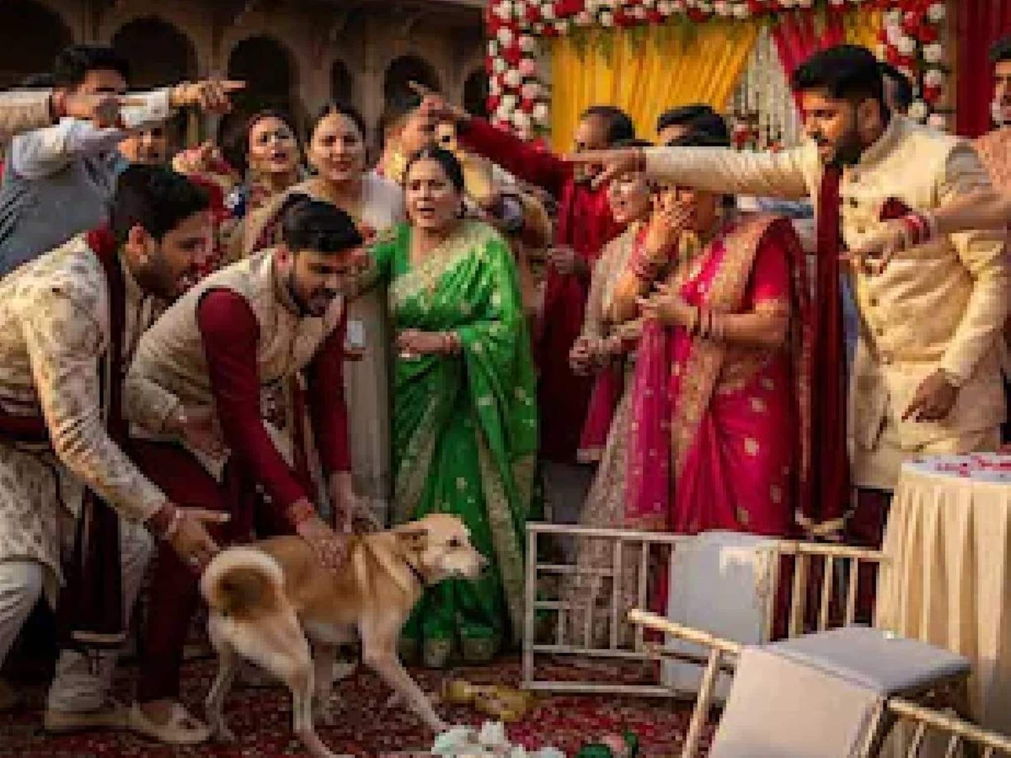 വരന്റെ ബന്ധു വധുവിന്റെ വളർത്തുനായയെ തല്ലി; കല്യാണപ്പന്തലിൽ കൂട്ടത്തല്ല്, ഒടുവിൽ വിവാഹം മുടങ്ങി