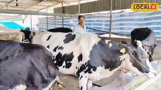 ചാണകത്തിൽ നിന്ന് ബയോഗ്യാസ് ഉൽപ്പാദിപ്പിച്ച് ഇന്ധന സ്വയംപര്യാപ്തത