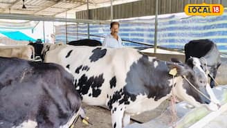 ഇന്ധനവിലയെ പേടിക്കണ്ട, ചാണകപാചകവാതകം; തൃക്കരിപ്പൂരിലെ ക്ഷീരകർഷകൻ്റെ വിജയഗാഥ