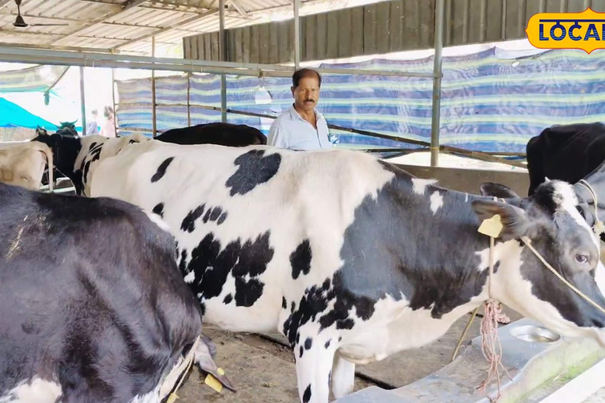 ഇന്ധനവിലയെ പേടിക്കണ്ട, ചാണകപാചകവാതകം; തൃക്കരിപ്പൂരിലെ ക്ഷീരകർഷകൻ്റെ വിജയഗാഥ