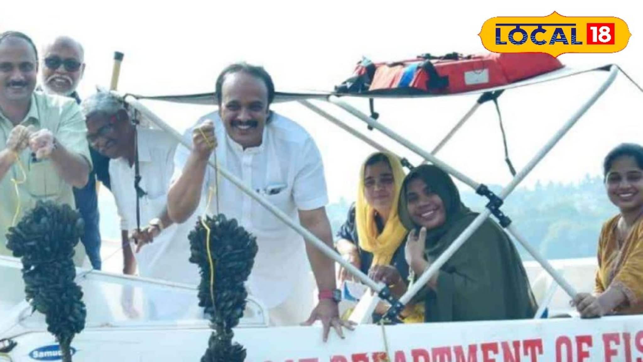 കല്ലുമ്മക്കായ കൊയ്ത്ത് തുടങ്ങി: ജില്ല പഞ്ചായത്തിൻ്റെ ആഭിമുഖ്യത്തിൽ തീരദേശത്ത് പുതിയ തൊഴിൽ വിപ്ലവം