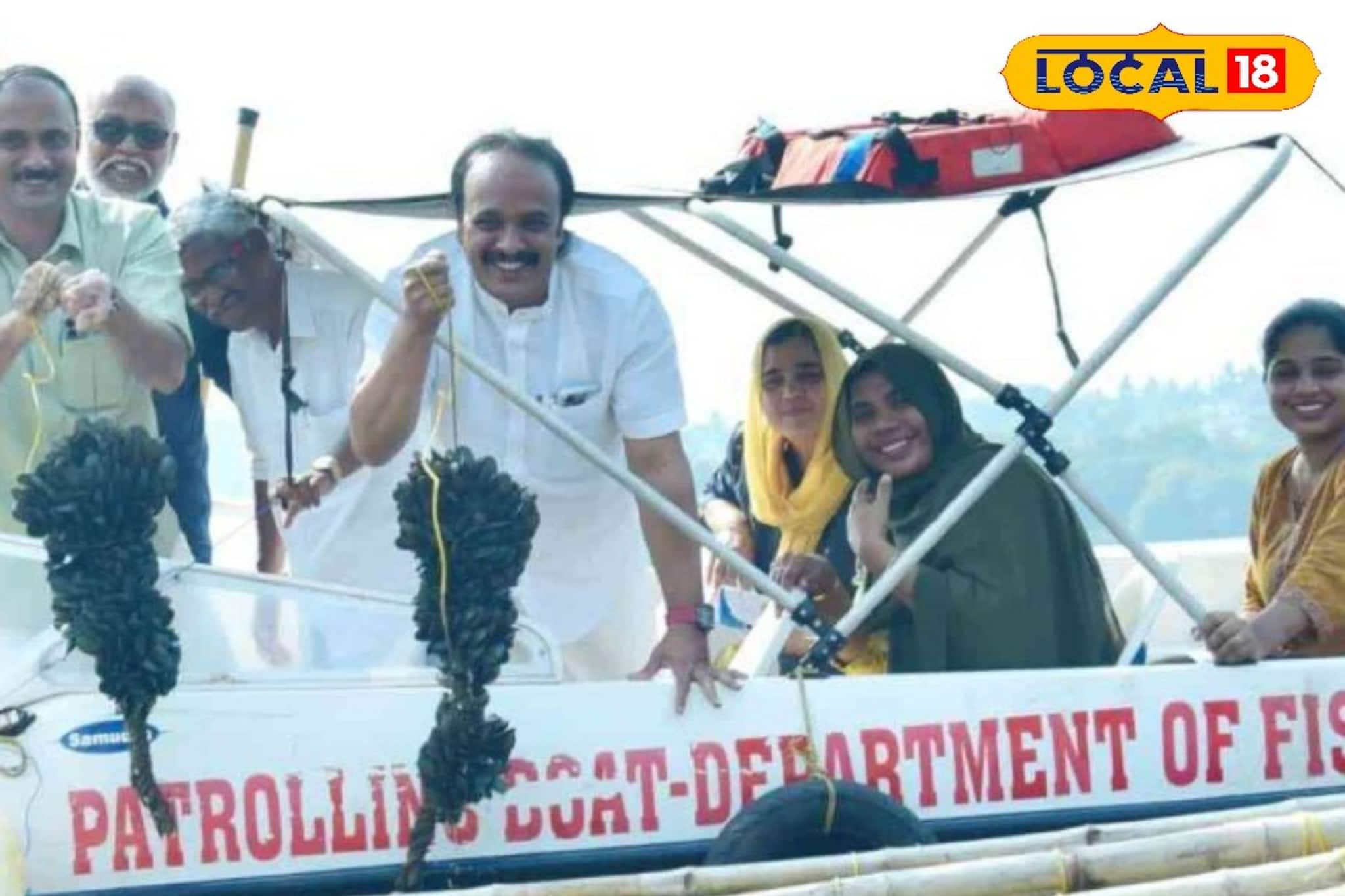 കല്ലുമ്മക്കായ കൊയ്ത്ത് തുടങ്ങി: ജില്ല പഞ്ചായത്തിൻ്റെ ആഭിമുഖ്യത്തിൽ തീരദേശത്ത് പുതിയ തൊഴിൽ വിപ്ലവം