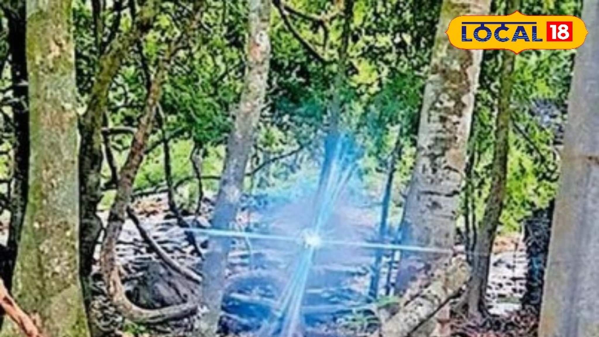 ആനശല്യത്തിന് അന്ത്യം കുറിക്കാൻ പുതിയ സാങ്കേതികവിദ്യ: ആറളത്ത് അലർട്ട് സിസ്റ്റം സ്ഥാപിച്ചു