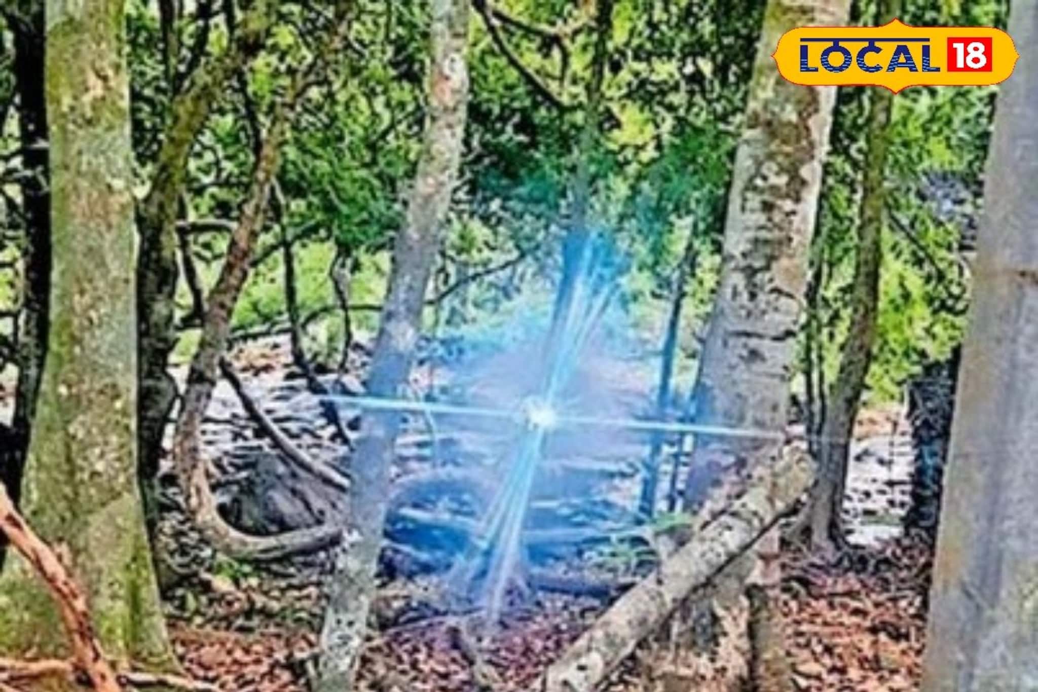 ആനശല്യത്തിന് അന്ത്യം കുറിക്കാൻ പുതിയ സാങ്കേതികവിദ്യ: ആറളത്ത് അലർട്ട് സിസ്റ്റം സ്ഥാപിച്ചു