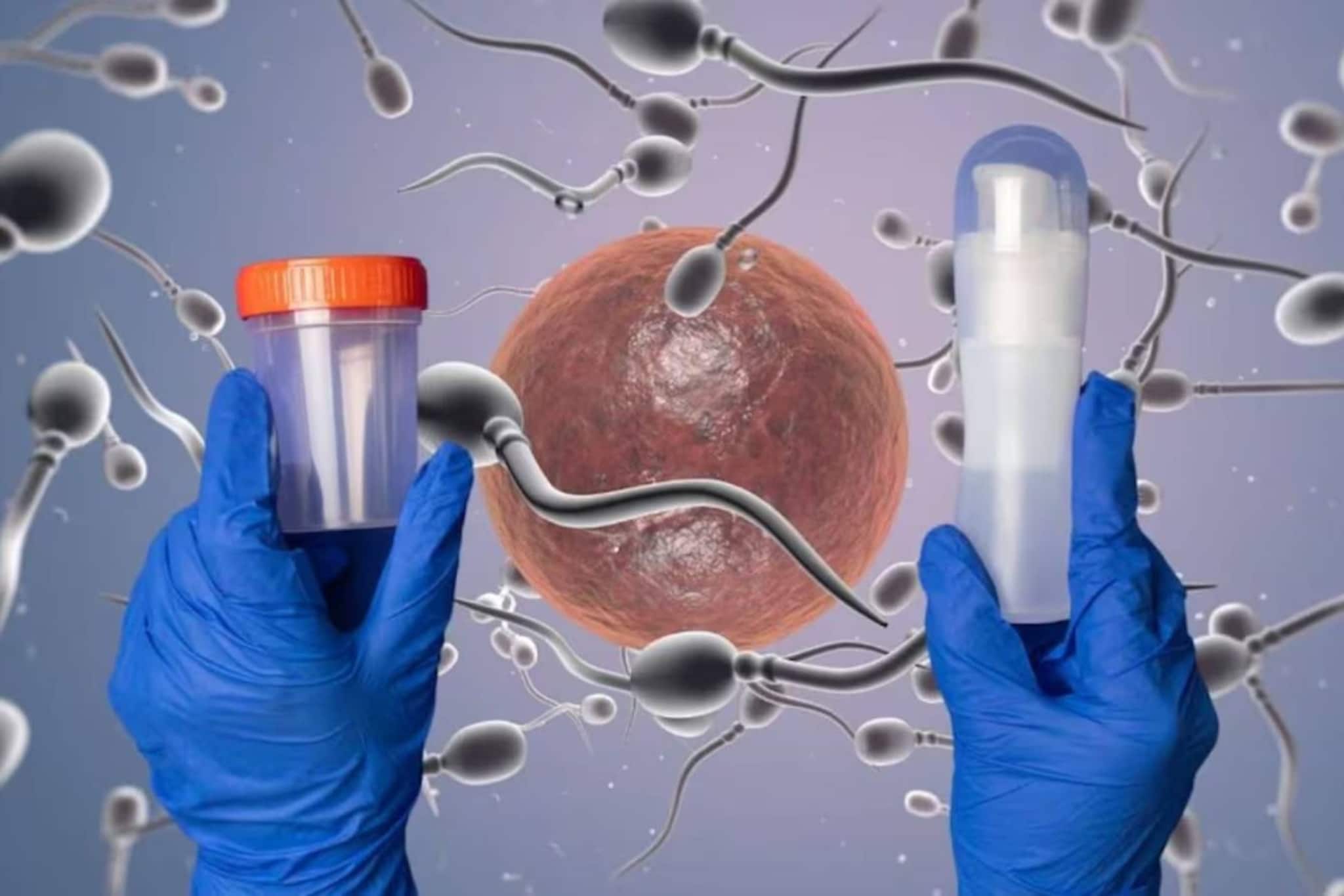 'ഐവിഎഫ് പ്രവർത്തിക്കാനുള്ള സാധ്യത എത്രയാണ്?' വിജയനിരക്ക് എത്രത്തോളമെന്ന് അറിയാം