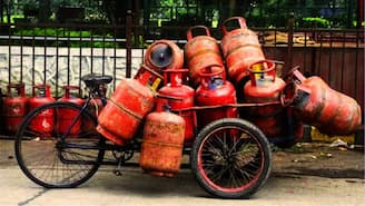 25 ദിവസത്തെ പൂട്ട്; ഇന്ന്  പാചകവാതക സിലിണ്ടർ ബുക്ക് ചെയ്യാൻ നോക്കിയാൽ, നടക്കില്ല; കാരണമിതാ