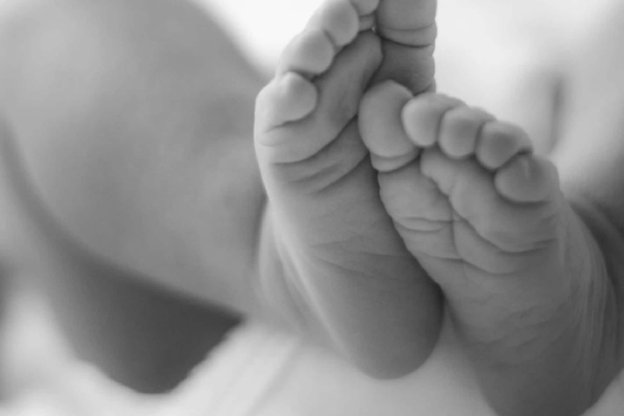 അമ്മത്തൊട്ടിലിൽ വീണ്ടും അലാറം മുഴങ്ങി; കോഴിക്കോട്ടെ സംവിധാനത്തിൽ ഏഴു മാസത്തിനുള്ളിൽ നാലാമത്തെ കുഞ്ഞ്