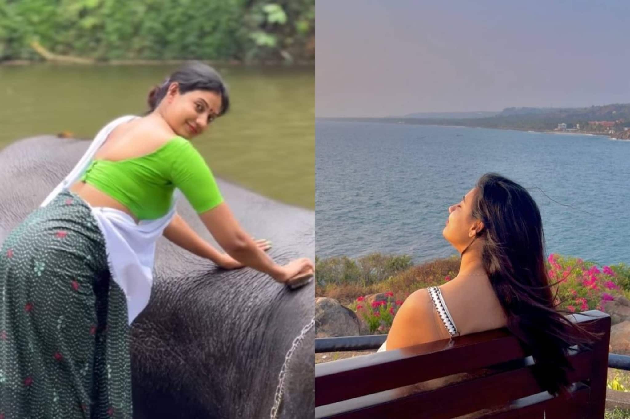 Purple Halcyon | 18Kയിലധികം സബ്സ്ക്രൈബേർസ്, 70 ലക്ഷത്തിലേറെ മാസവരുമാനം; മലയാളി പെൺകൊടി 'പർപ്പിൾ' ആരാണ്?