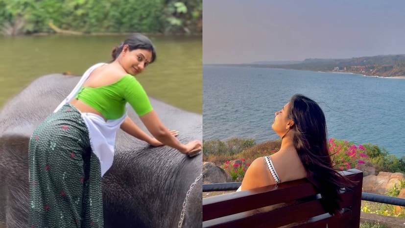 'പാടി കുളിക്കും പരൽ മീൻ കണ്ണുള്ള പെണ്ണേ കാക്കക്കറുമ്പീ... മാടിവിളിക്കുന്നു മാറത്തെ മാമ്പുള്ളിച്ചുണങ്ങ് പുള്ളിച്ചുണങ്ങ്...' എന്ന വരികൾ പിന്നിൽ മുഴങ്ങുന്നതും പുഴയിൽ കുളിപ്പിക്കാൻ കിടത്തിയിട്ടുള്ള ആനയുടെ അരികിലേക്ക് പച്ച ബ്ലൗസും ലുങ്കിയും തോർത്തും അഴിച്ചിട്ട തലമുടിയുടെ ഇറാനിൽ മുങ്ങിയ ലുക്കിൽ നടന്നു നീങ്ങുകയാണ് 'പർപ്പിൾ ഹാൽസിയോൺ' (Purple Halcyon) എന്ന അശ്വിനി. മലയാളികളുടെ പ്രിയപ്പെട്ട മോഹൻലാലും സിൽക്ക് സ്മിതയും ചേർന്ന് ആടിത്തകർത്ത 'സ്ഫടികം' സിനിമയിൽ രംഗം പുനരാവിഷ്കരിക്കുക്കയാണ് ഈ സുന്ദരി. ഈ പെൺകൊടിയാണ് ഇന്ന് കേരളത്തിൽ ഏറ്റവും കൂടുതൽ സോഷ്യൽ മീഡിയ സബ്സ്ക്രൈബേർഴ്സ് ഉള്ള 'പർപ്പിൾ കുട്ടി' എന്ന വിളിപ്പേരുള്ള അശ്വനി എ. 'പാടി കുളിക്കും പരൽ മീൻ കണ്ണുള്ള പെണ്ണേ കാക്കക്കറുമ്പീ... മാടിവിളിക്കുന്നു മാറത്തെ മാമ്പുള്ളിച്ചുണങ്ങ് പുള്ളിച്ചുണങ്ങ്...' എന്ന വരികൾ പിന്നിൽ മുഴങ്ങുന്നതും പുഴയിൽ കുളിപ്പിക്കാൻ കിടത്തിയിട്ടുള്ള ആനയുടെ അരികിലേക്ക് പച്ച ബ്ലൗസും ലുങ്കിയും തോർത്തും അഴിച്ചിട്ട തലമുടിയുടെ ഇറാനിൽ മുങ്ങിയ ലുക്കിൽ നടന്നു നീങ്ങുകയാണ് 'പർപ്പിൾ ഹാൽസിയോൺ' (Purple Halcyon) എന്ന അശ്വിനി. മലയാളികളുടെ പ്രിയപ്പെട്ട മോഹൻലാലും സിൽക്ക് സ്മിതയും ചേർന്ന് ആടിത്തകർത്ത 'സ്ഫടികം' സിനിമയിൽ രംഗം പുനരാവിഷ്കരിക്കുക്കയാണ് ഈ സുന്ദരി. ഈ പെൺകൊടിയാണ് ഇന്ന് കേരളത്തിൽ ഏറ്റവും കൂടുതൽ സോഷ്യൽ മീഡിയ സബ്സ്ക്രൈബേർഴ്സ് ഉള്ള 'പർപ്പിൾ കുട്ടി' എന്ന വിളിപ്പേരുള്ള അശ്വനി എ.