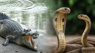 പ്രതീകാത്മക ചിത്രം