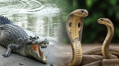 പ്രതീകാത്മക ചിത്രം പ്രതീകാത്മക ചിത്രം