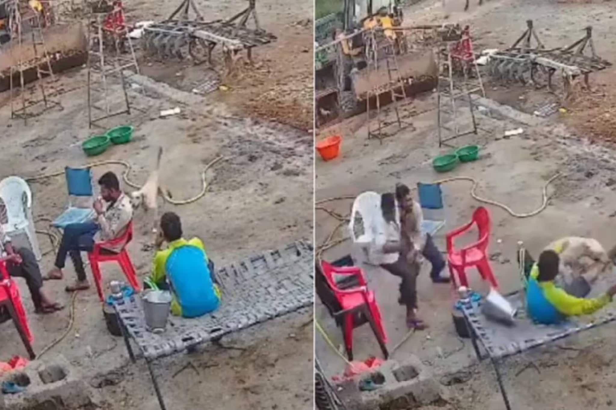 തെരുവുനായ 30 സെക്കൻഡിനുള്ളിൽ കടിച്ചത് നിരവധി പേരെ; പരിഭ്രാന്തി പരത്തിയ അക്രമത്തിന്റെ വീഡിയോ തെരുവുനായ 30 സെക്കൻഡിനുള്ളിൽ കടിച്ചത് നിരവധി പേരെ; പരിഭ്രാന്തി പരത്തിയ അക്രമത്തിന്റെ വീഡിയോ