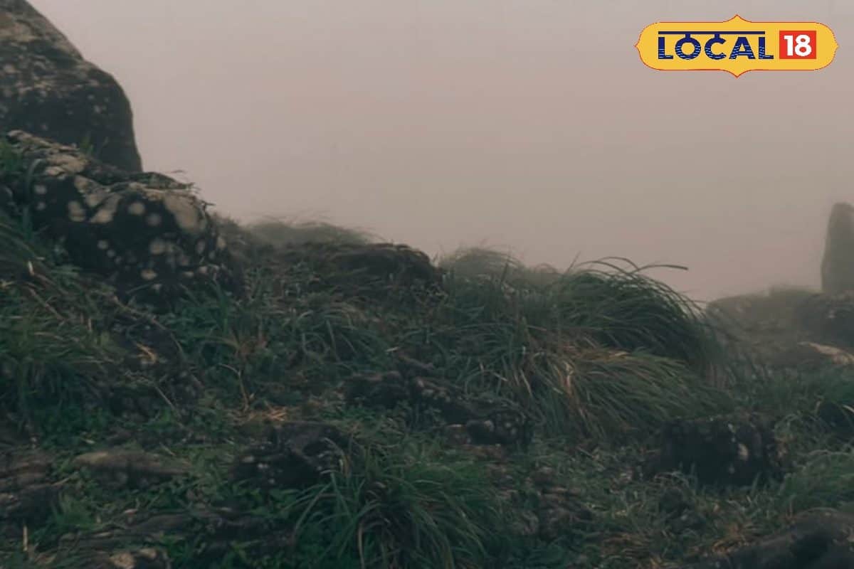 ഉഷ്ണതരംഗത്തിലും കുളിർമഴയായി പൊന്മുടി; വേനൽച്ചൂടിൽ നിന്ന് രക്ഷതേടി സഞ്ചാരികളുടെ പ്രവാഹം