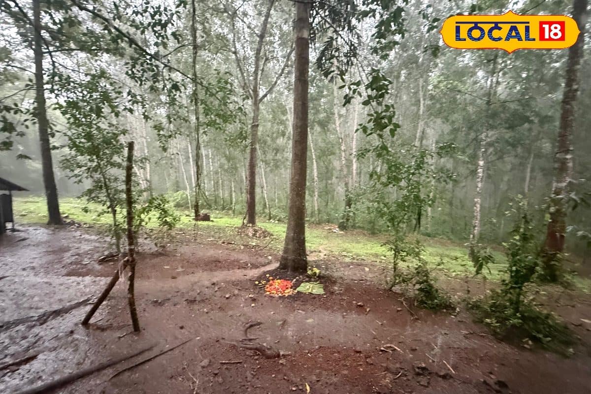കൊല്ലത്ത് കനത്ത മഴയ്ക്കും കാറ്റിനും സാധ്യത; ജാഗ്രതാ നിർദ്ദേശങ്ങളുമായി ജില്ലാ കലക്ടർ