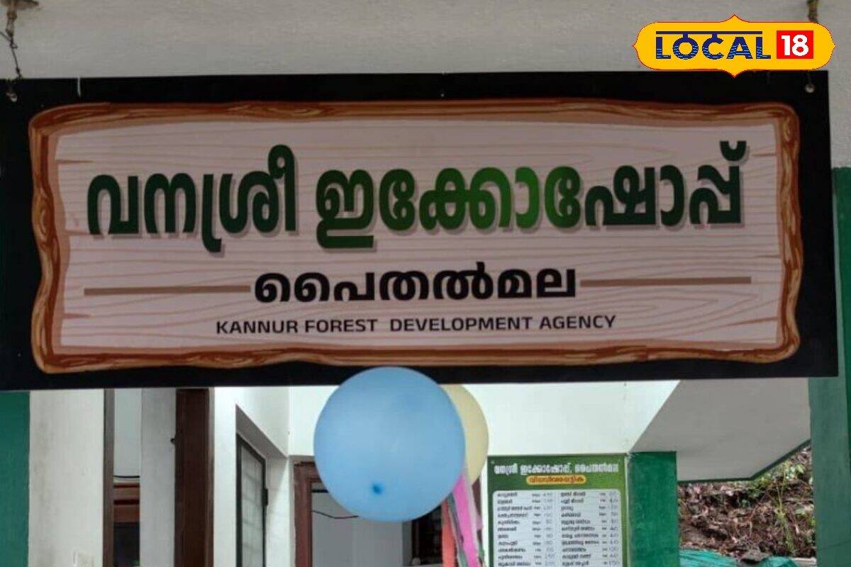 പൈതൽമലയിൽ ഇനി 'വനശ്രീ' മധുരം; സഞ്ചാരികൾക്കായി കാട്ടുതേനും മുളയരിയുമായി ഇക്കോ ഷോപ്പ് തുടങ്ങി