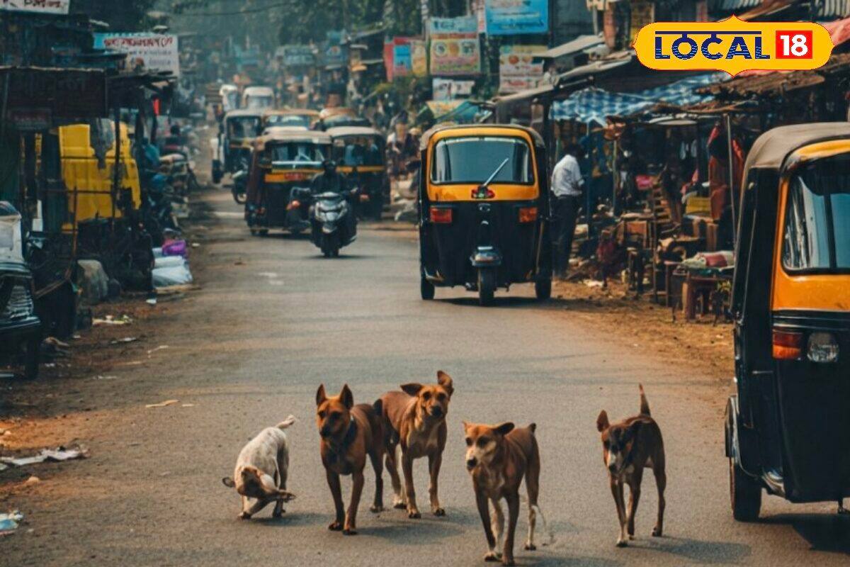 തെരുവ്നായ പ്രശ്നം ഇനിയുണ്ടാകില്ല! 1000 നായ്ക്കളെ പാർപ്പിക്കാൻ അത്യാധുനിക മെഗാ ഷെൽട്ടറുമായി തിരുവനന്തപുരം കോർപ്പറേഷൻ