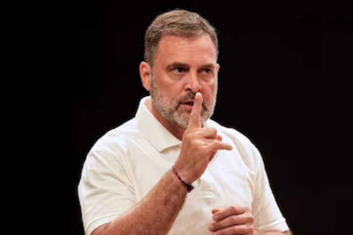 'നിലനില്പ്പിനു പിടഞ്ഞ കോണ്ഗ്രസിനെ തോളിലേറ്റിയത് ഡിഎംകെ; രാഹുല് ഗാന്ധി ഭൂലോക തമാശ' വിമർശനവുമായി ഡിഎംകെ