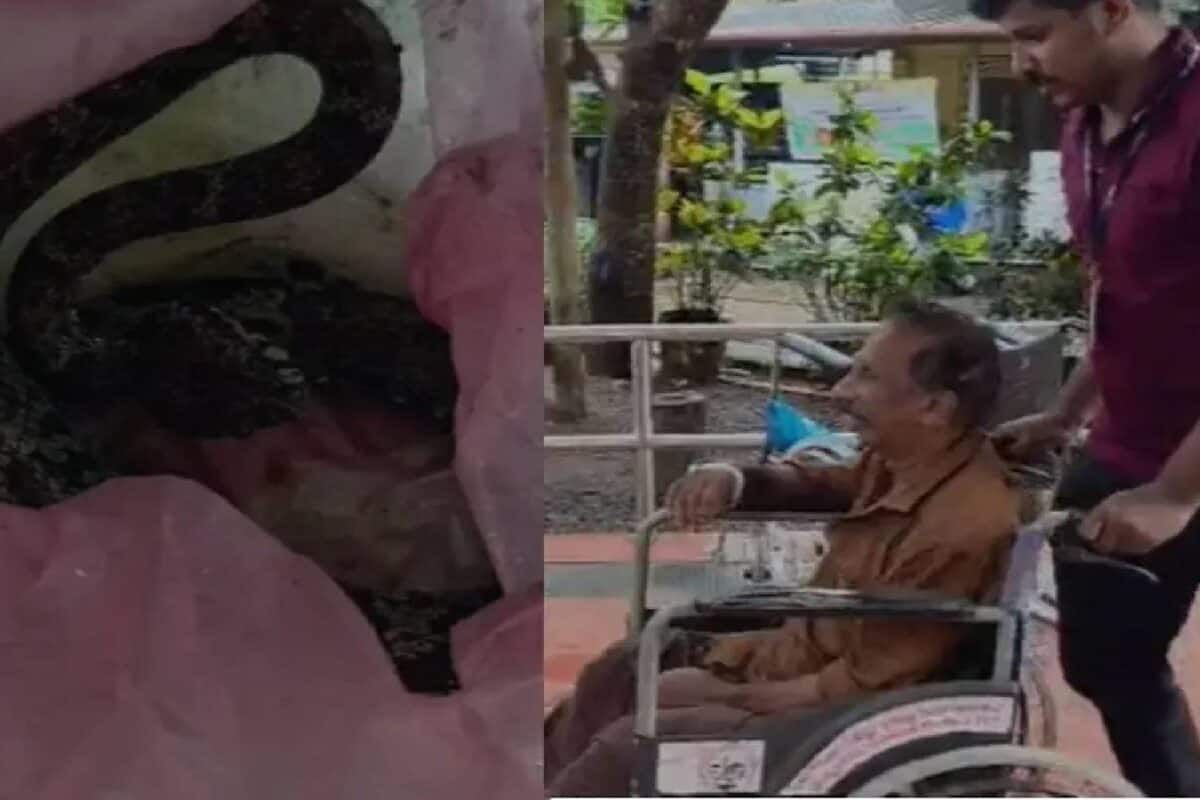 വാഴക്കുല വെട്ടുന്നതിനിടെ തന്നെക്കടിച്ച പാമ്പുമായി വയോധികൻ ആശുപത്രിയിൽ