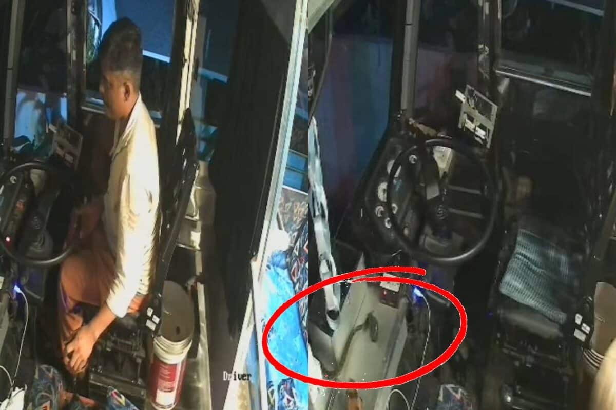 കുറ്റിപ്പുറം റൂട്ടിലെ 'കുവൈറ്റിൽ' പാമ്പ്; സ്വകാര്യ ബസിനുള്ളിൽ പരിഭ്രാന്തി