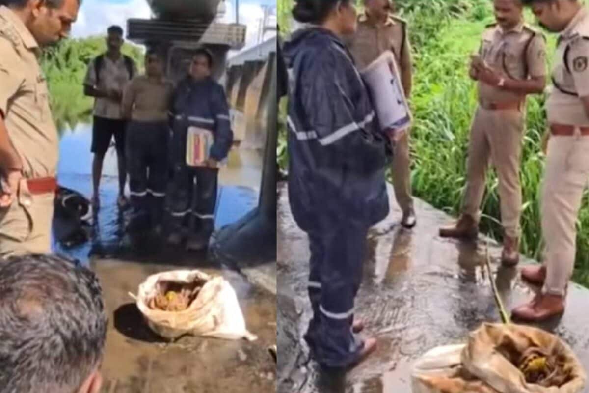 പമ്പയാറ്റിൽ പൂജാ സാധനങ്ങൾക്കൊപ്പം ചാക്കിൽ കെട്ടിയ നിലയിൽ അസ്ഥികൂടം