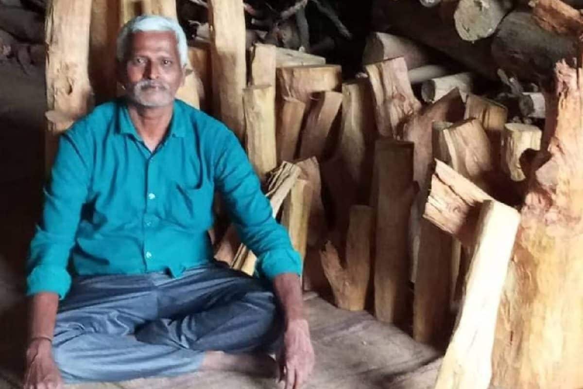 അജ്ഞാതനായ പക്ഷിയുടെ സമ്മാനമോ? പെരുമഴയിൽ വീണ മരം 85 കാരന് നൽകിയത് 28 ലക്ഷം രൂപയുടെ സൗഭാഗ്യം