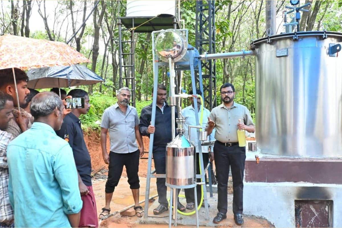 കാട്ടാനയെ വിരട്ടാൻ കർഷകർക്ക് ഇഞ്ചിപ്പുൽ കൃഷി