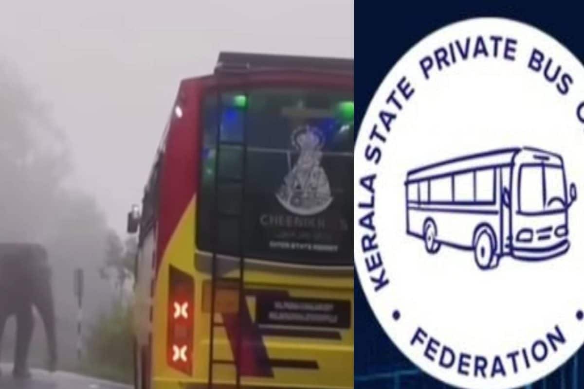 'കാട്ടാനകളല്ല നാട്ടാനകളാണ് നശിപ്പിച്ചത്; വാൽപ്പാറ ബസ് നിർത്തിയതിൽ സ്വകാര്യബസുടമകളുടെ സംഘടന