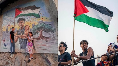 (Imaga: International Action for Palestine/Facebook) (Imaga: International Action for Palestine/Facebook)
