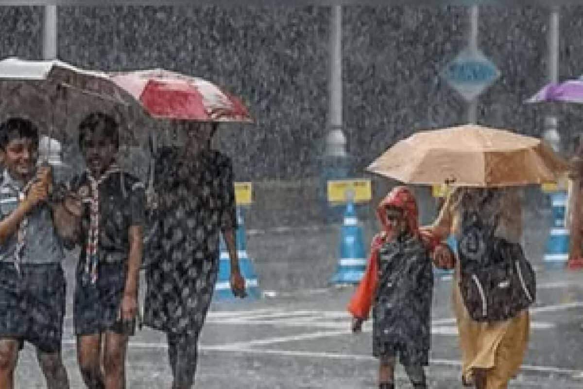 കനത്ത മഴ; കോഴിക്കോട്, വയനാട് ജില്ലകളിലെ വിദ്യാഭ്യാസ സ്ഥാപനങ്ങൾക്ക് ജൂലൈ 8 അവധി