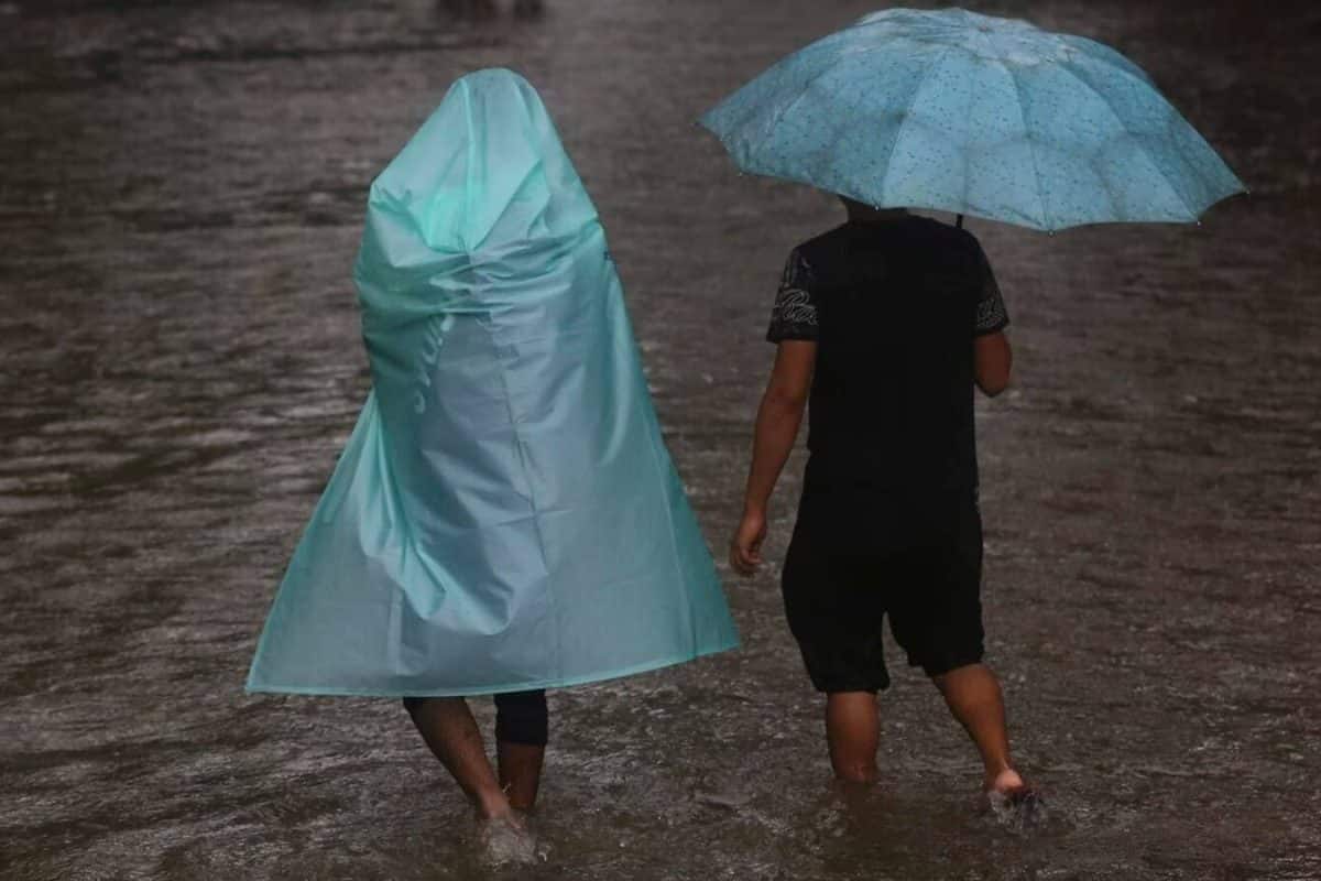 ഞായറാഴ്ച നാല് ജില്ലകളിൽ വിദ്യാഭ്യാസ സ്ഥാപനങ്ങൾക്ക് അവധി
