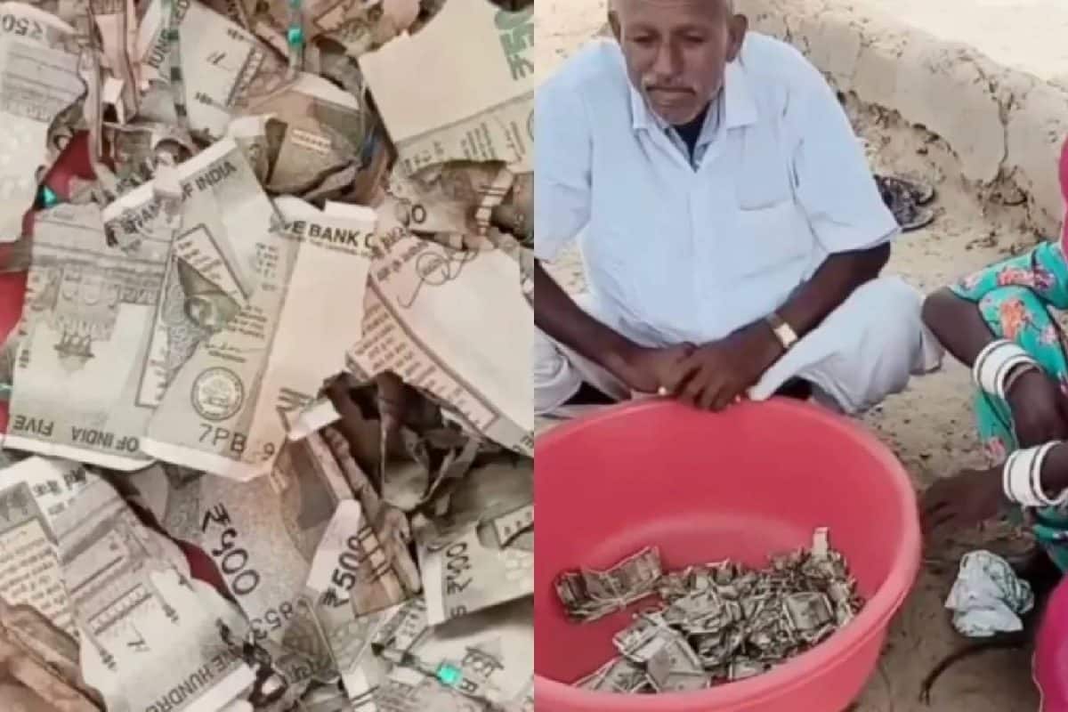 കള്ളന്മാരെ പേടിച്ച് പണം കുഴിച്ചിട്ടത് മറന്നുപോയ കർഷകന്റെ 5 ലക്ഷം രൂപ ചിതലെടുത്തു!