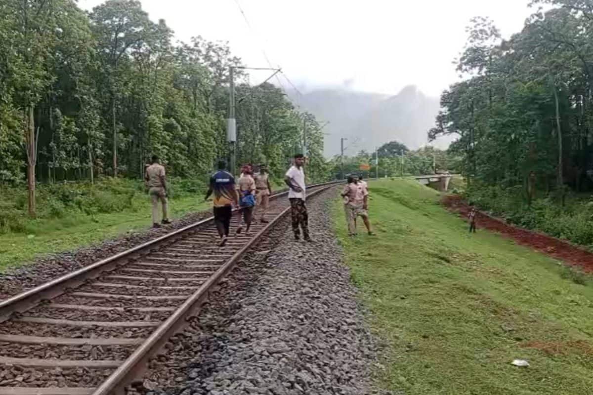 കേരള-തമിഴ്നാട് അതിർത്തിയിൽ ട്രെയിൻ തട്ടി പിടിയാനയും കുട്ടിയാനയും ചരിഞ്ഞു
