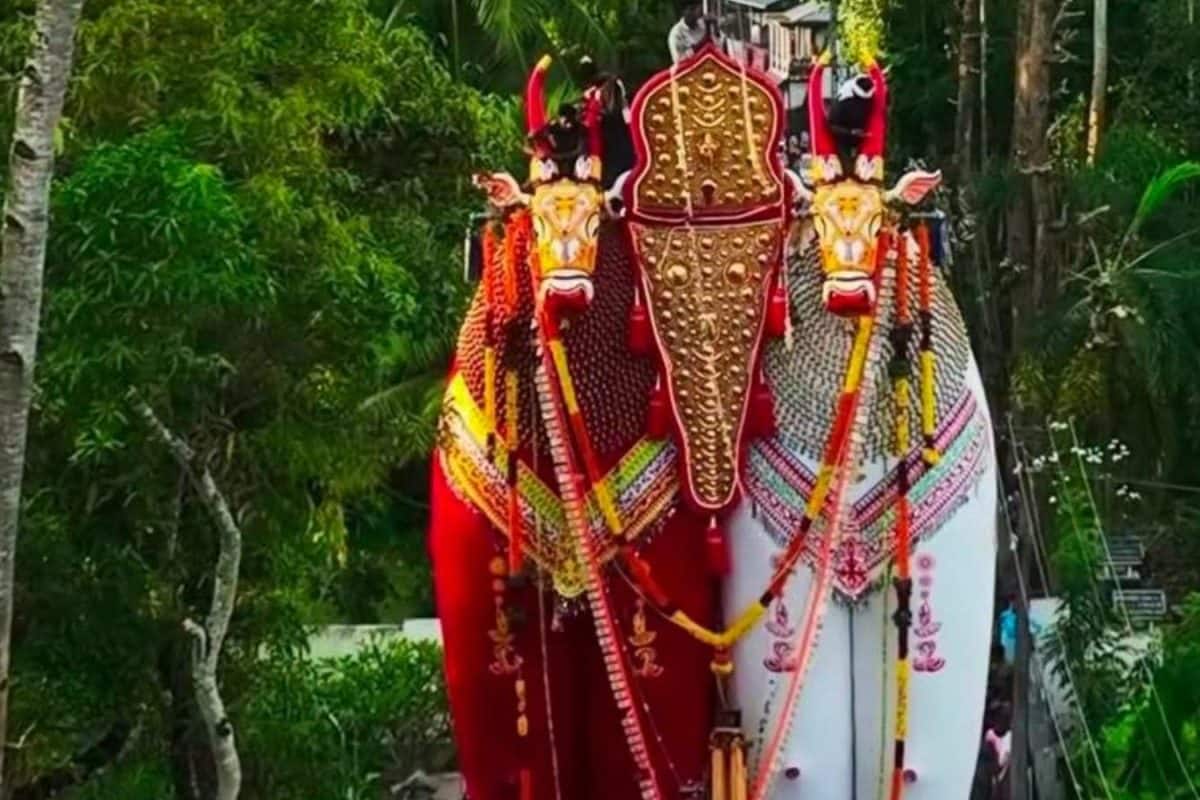 ഓച്ചിറ കാളകെട്ട് ഉത്സവം; ബുധനാഴ്ച ആലപ്പുഴ, കൊല്ലം ജില്ലകളിൽ മൂന്ന് താലൂക്കുകളിൽ അവധി