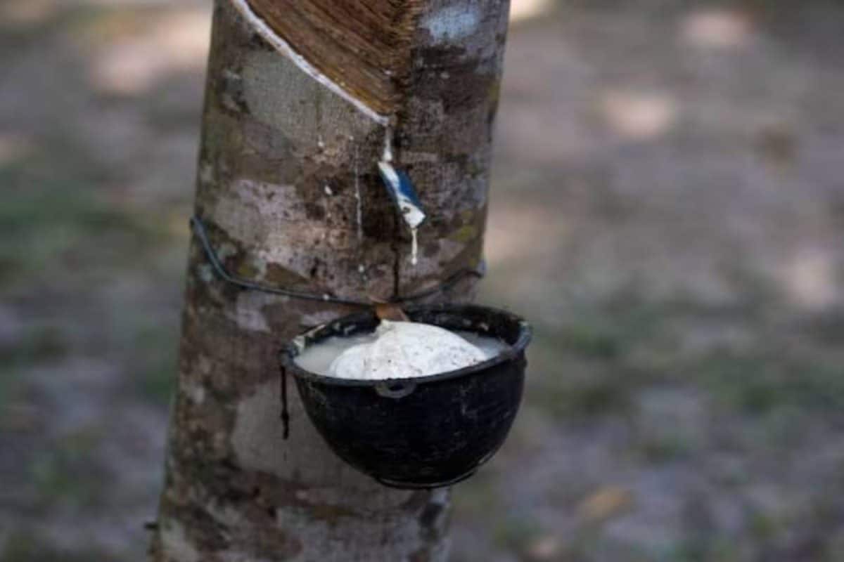 വെളുപ്പിന് എഴുന്നേറ്റ് റബർ ടാപ്പ് ചെയ്യുന്ന പരമ്പരാഗത രീതി പഴങ്കഥയാകുമോ ?