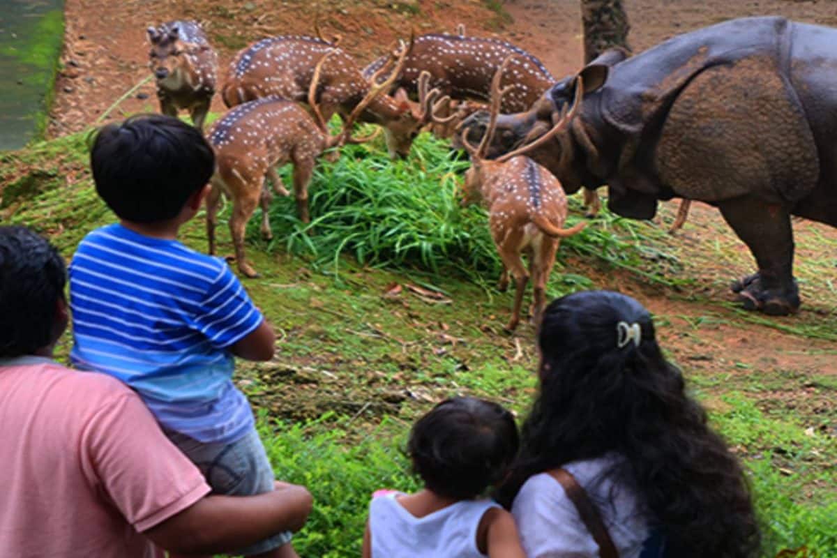 Save Trivandrum Zoo ; തിരുവനന്തപുരം മൃഗശാല തലസ്ഥാനത്ത് നിലനിർത്താൻ സിപിഎം ക്യാമ്പയിൻ