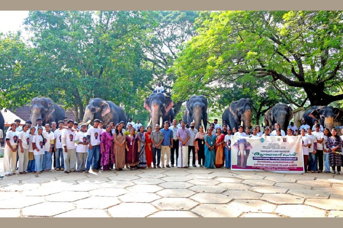 'ആനയാണ് ലഹരി' സാമൂഹ്യനീതി വകുപ്പിന്റെ സ്പെഷ്യൽ ലഹരിബോധവൽക്കരണ പരിപാടി