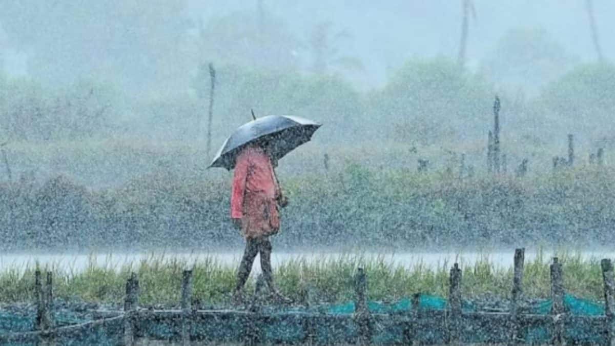 IMD issues orange alerts for 10 Kerala districts due to heavy rain