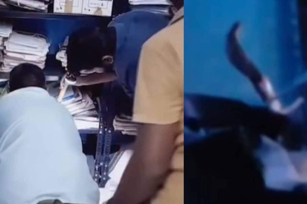 പഞ്ചായത്ത് ഓഫീസിലെ ഫയലുകൾക്കിടയിൽ ഒരു മൂർഖൻ! ഈ കണക്കിന് താലൂക്ക് ഓഫീസിൽ എന്തായിരിക്കും!