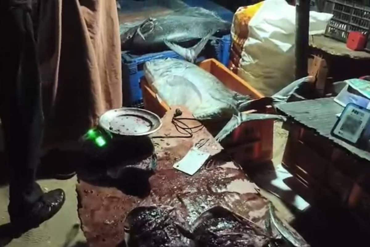 വർക്കലയിൽ വറ്റ മത്സ്യം കഴിച്ചവർക്ക് ദേഹാസ്വാസ്ഥ്യം; 27 പേർ ചികിത്സയിൽ; രണ്ടുപേരുടെ നില ഗുരുതരം