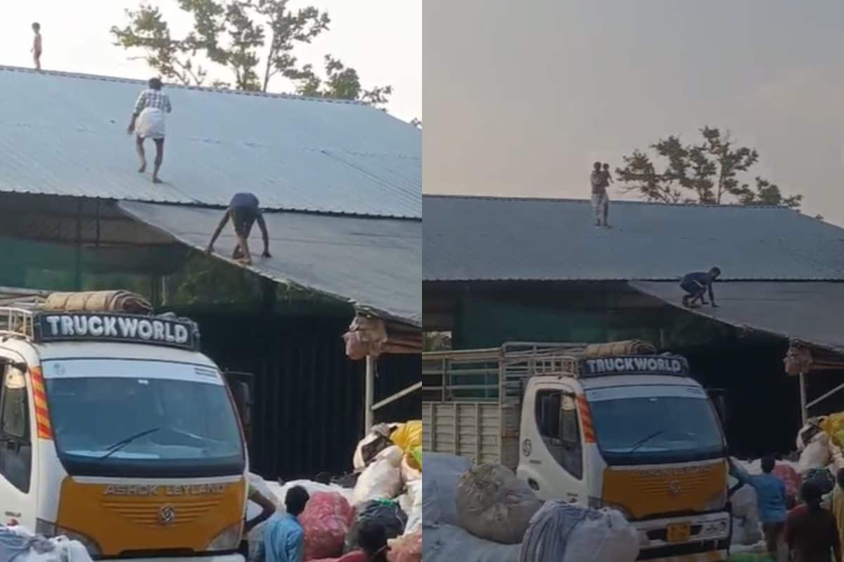 ഗോഡൗണിന്റെ മേൽക്കൂരക്ക് മുകളിൽ കയറിയ കുഞ്ഞിനെ സാഹസികമായി രക്ഷപെടുത്തി യുവാവ്